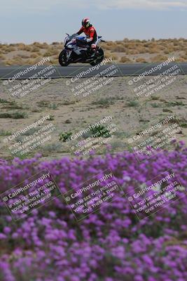 media/Jan-14-2023-SoCal Trackdays (Sat) [[497694156f]]/Turn 14 Exit Bloomig (145pm)/